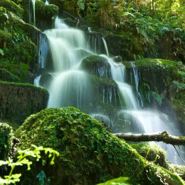 Waterval in de Bay of Plenty, Nieuw-Zeeland