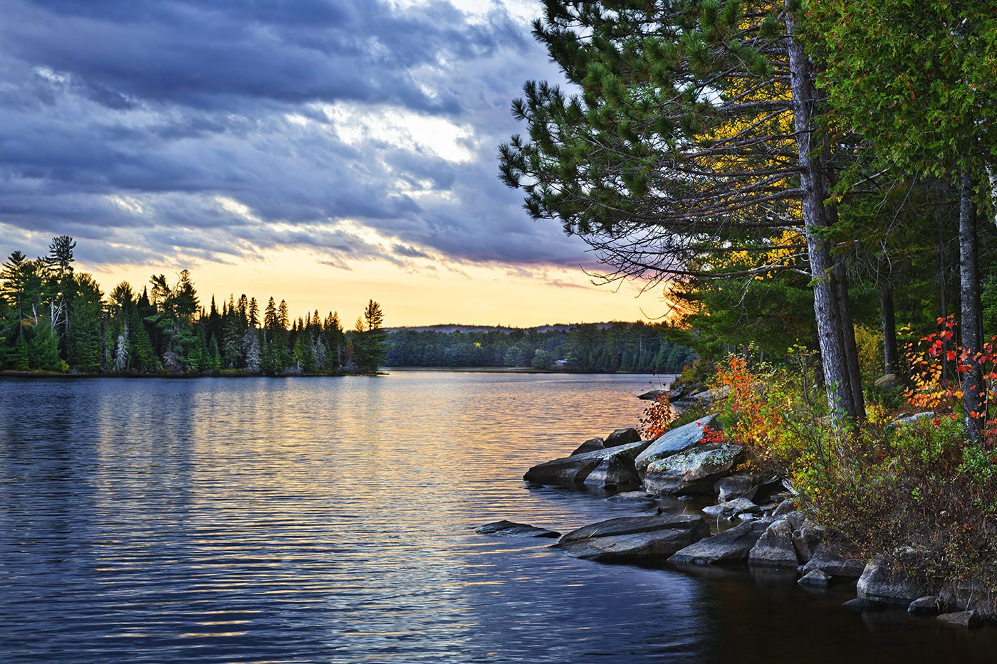 Water surrounded by greenery with a hint of autumn colours at sunset in Algonquin Provincial Park