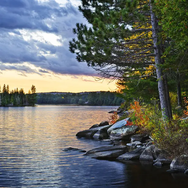 Water surrounded by greenery with a hint of autumn colours at sunset in Algonquin Provincial Park