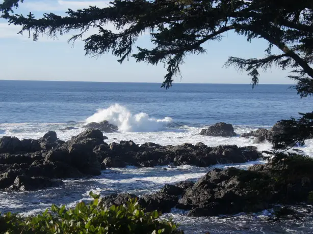 Ucluelet 770088 1920