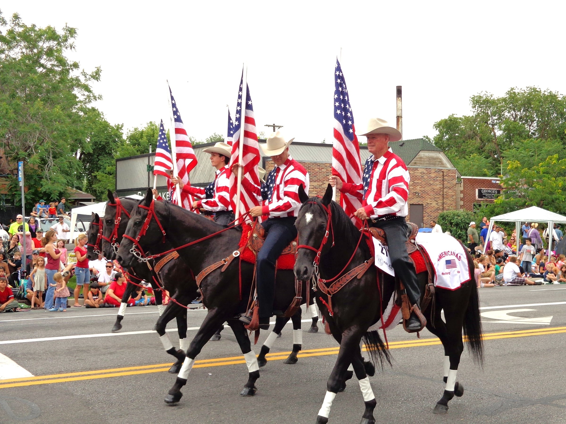USA Parade Pferde