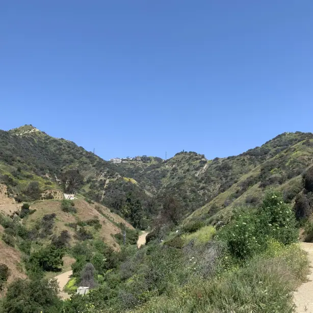 Blick von Wanderweg auf den grün bewachsenen Runyon Canyon