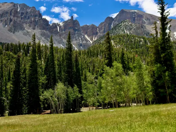 Usa great basin national park