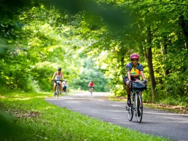 Mehrere Menschen fahren Fahrrad auf Weg durch grüne Bäume