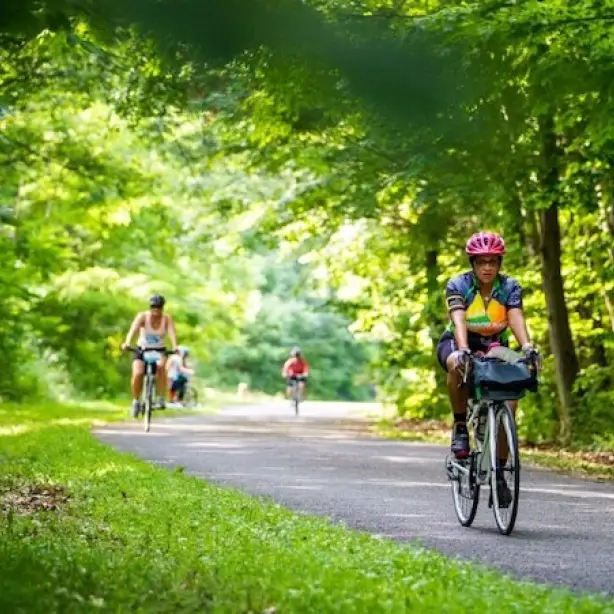 Mehrere Menschen fahren Fahrrad auf Weg durch grüne Bäume