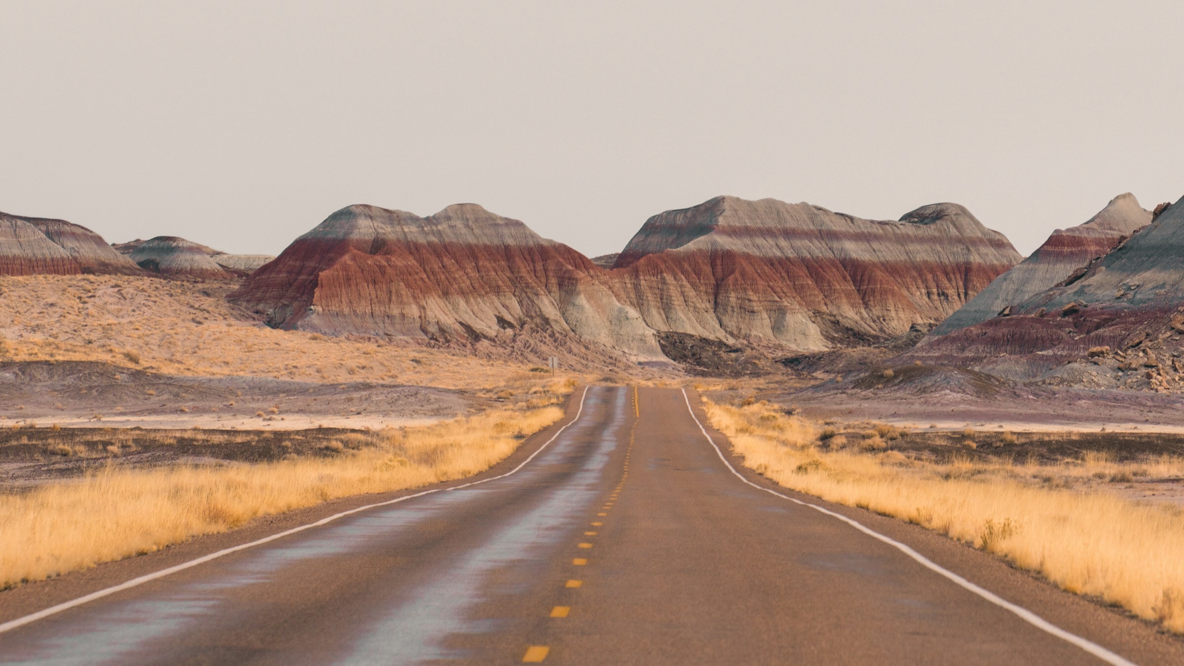 Usa petrified forest national park