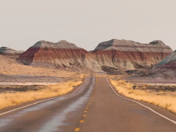 Usa petrified forest national park
