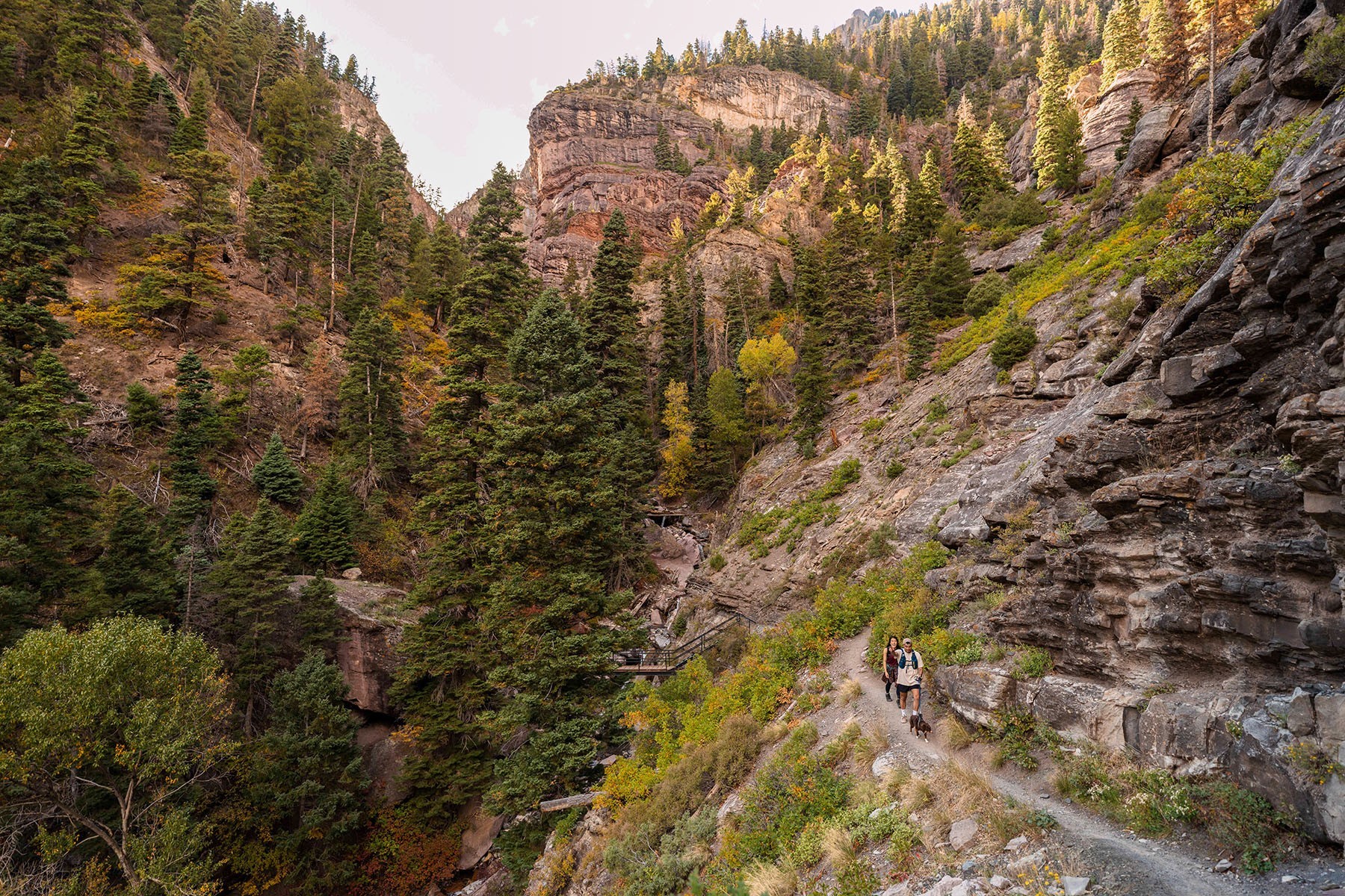 Zwei Wanderer folgen einem Bergpfad durch eine Schlucht mit Felswänden und dichten Wald in Ouray, Colorado