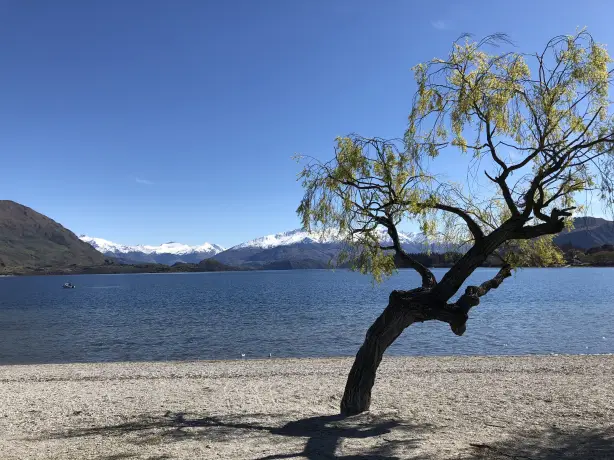 14759 Lake Wanaka copy