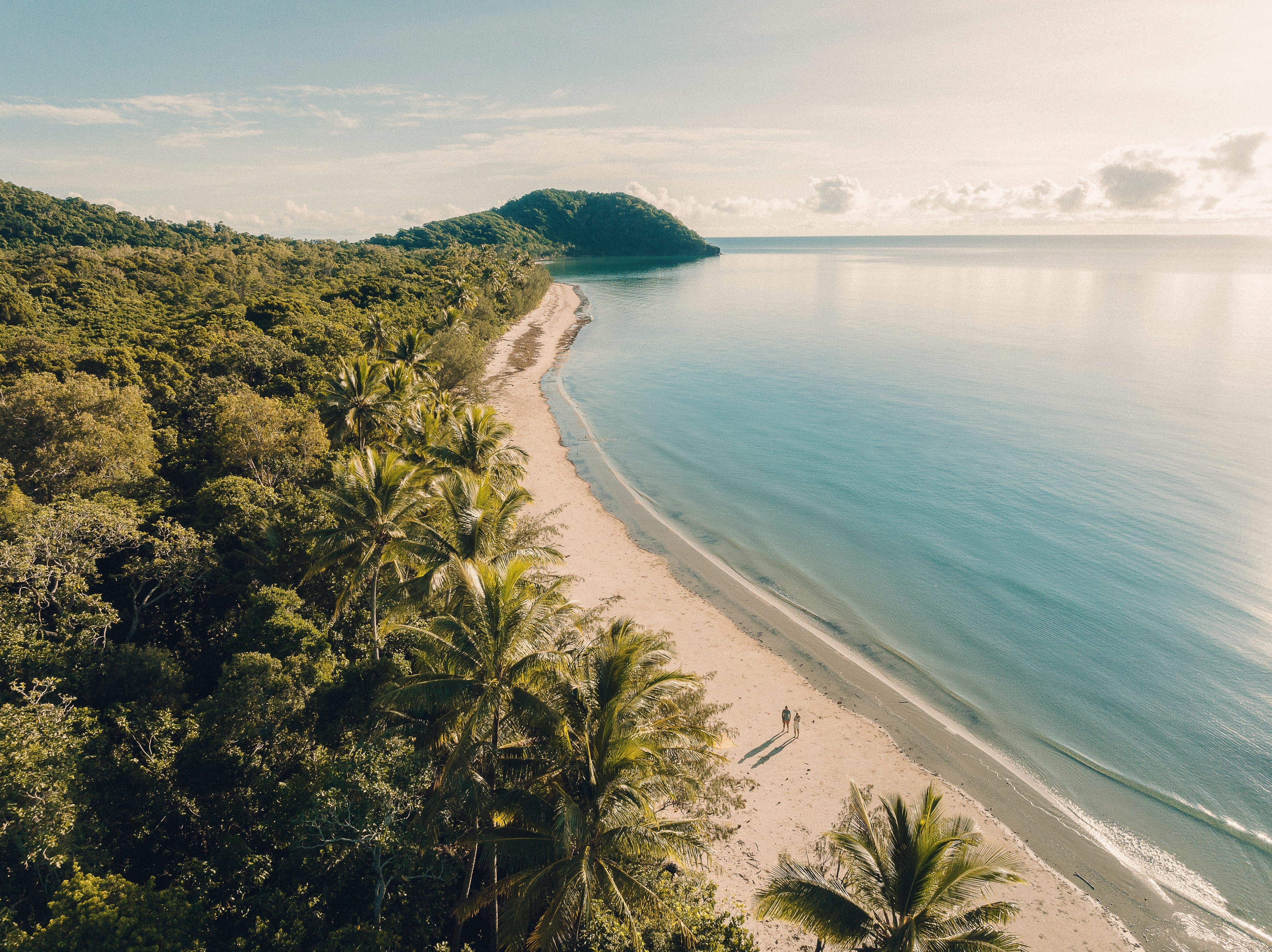 154501 2023 TNQ Daintree National Park Ca 19