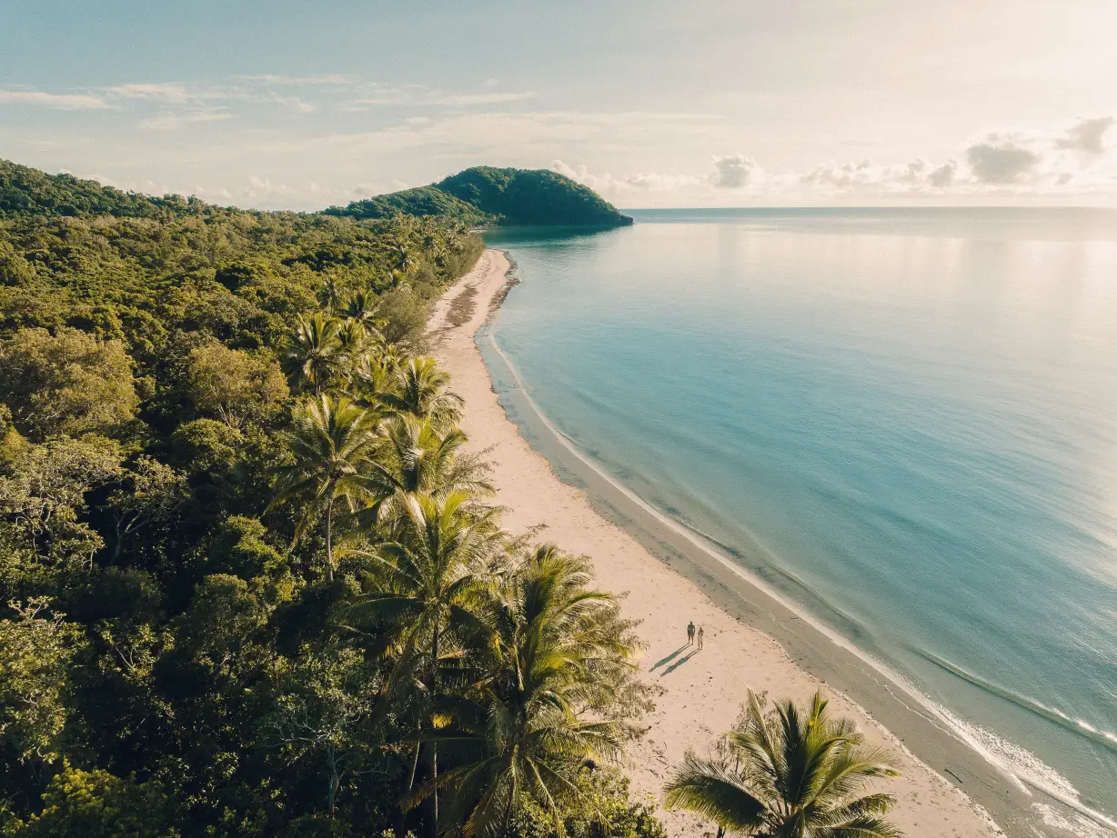 154501 2023 TNQ Daintree National Park Ca 19