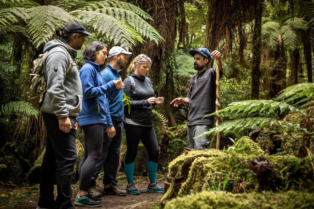 Regenwald Maori Tour