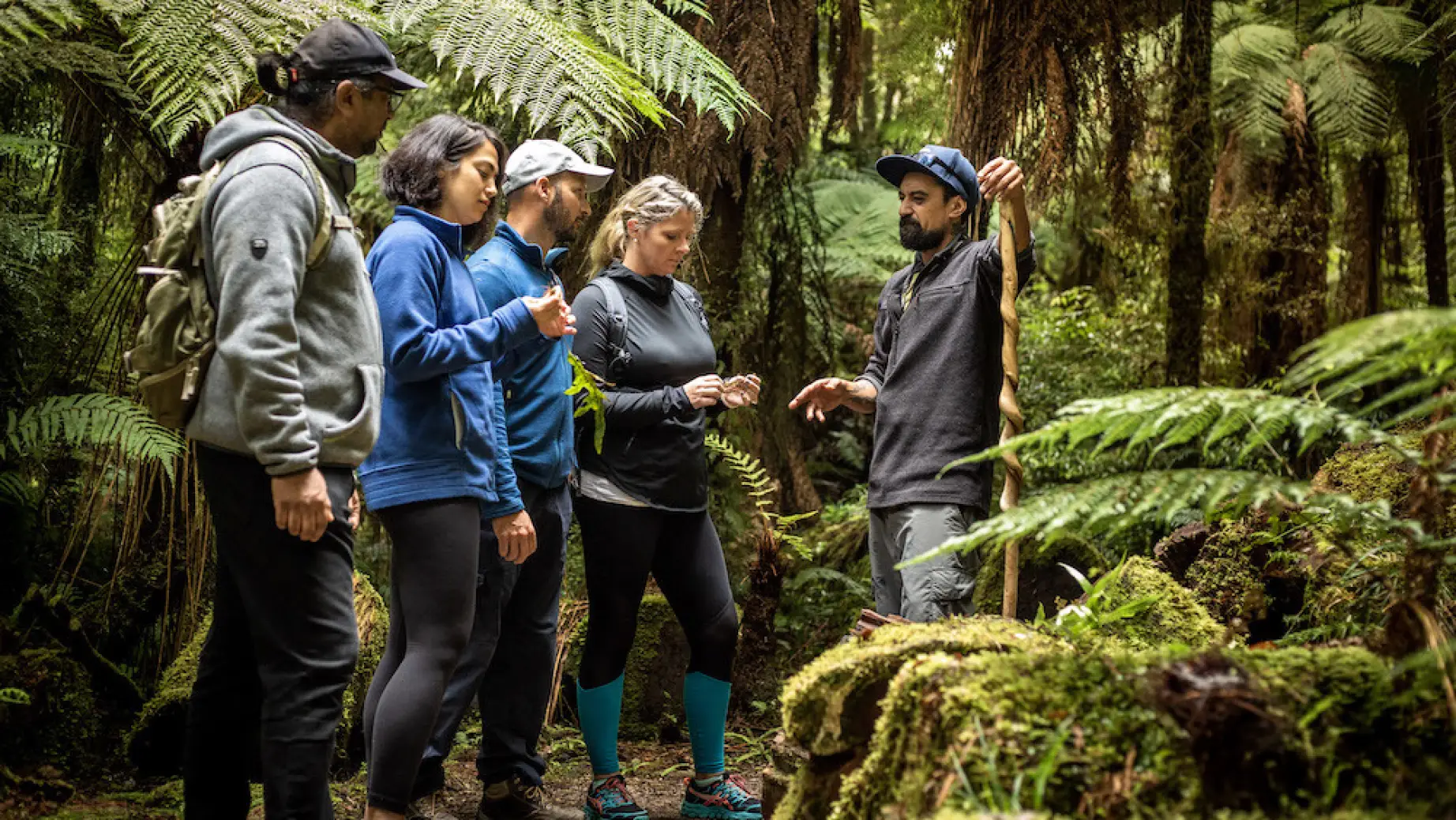 Regenwald Maori Tour